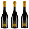 Pack 3 Lambrusco Rosso Dolce Emilia IGT BORGOFULVIA